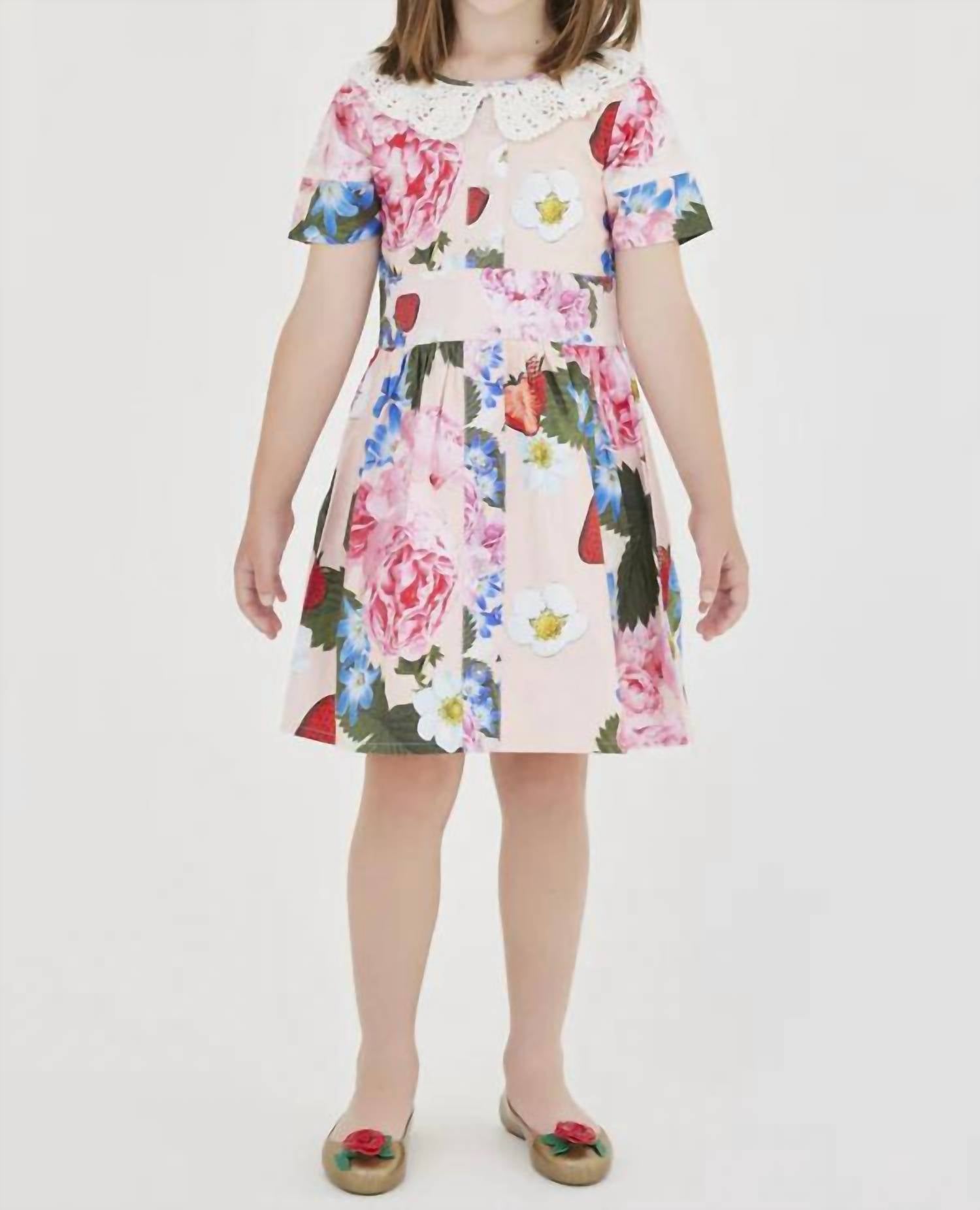 Sasha+Z - Strawberry & Peonies Printed Dress