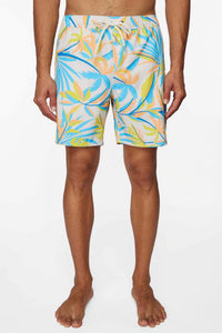 O'Neill - Men's Banyon Volleys
