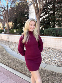 Idem Ditto - Turtle Neck Fitted Sweater Mini Dress