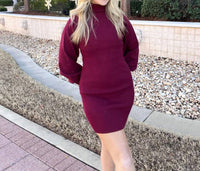 Idem Ditto - Turtle Neck Fitted Sweater Mini Dress