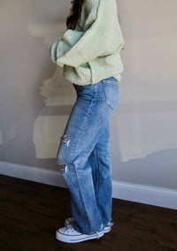 Vervet By Flying Monkey - Kendall Dad Jeans