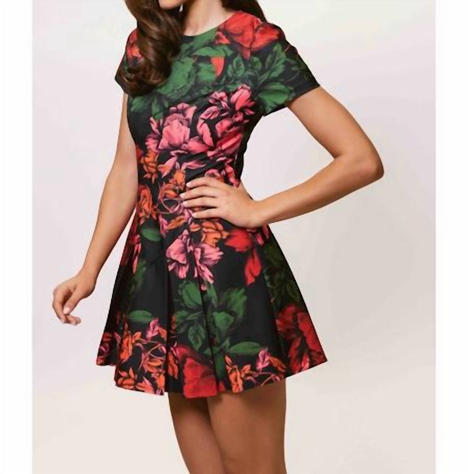 Hutch - Emmanuela Mini Dress