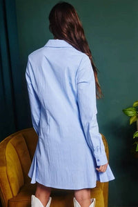 Bucketlist - Kennedy Long Sleeve Button Down Pleated Dress