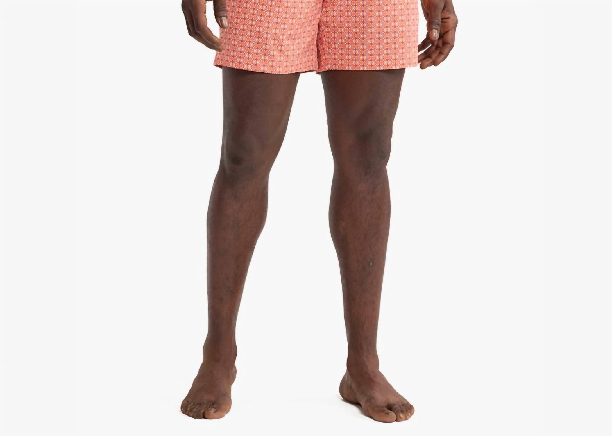 Fair Harbor - The Bayberry Trunk - 7"