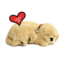 Perfect Petzzz - Golden Retriever Breathing Pet
