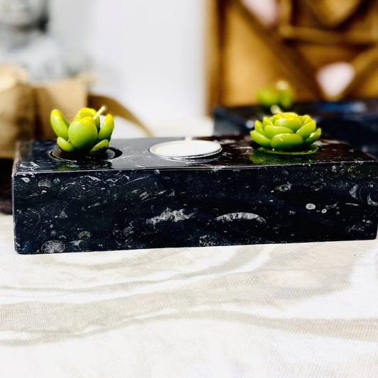 Rock Paradise - ORTHOCERAS CANDLE HOLDER