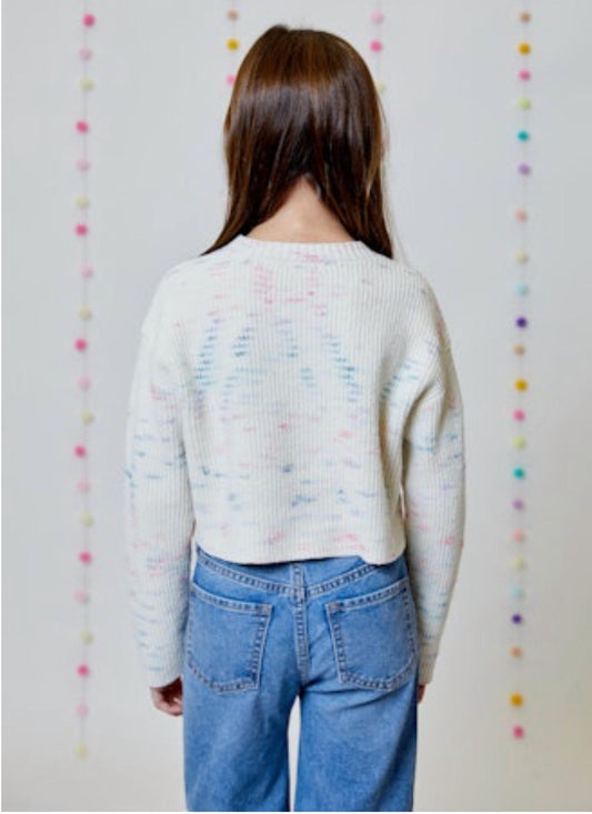 Design History - Speckled Sweater