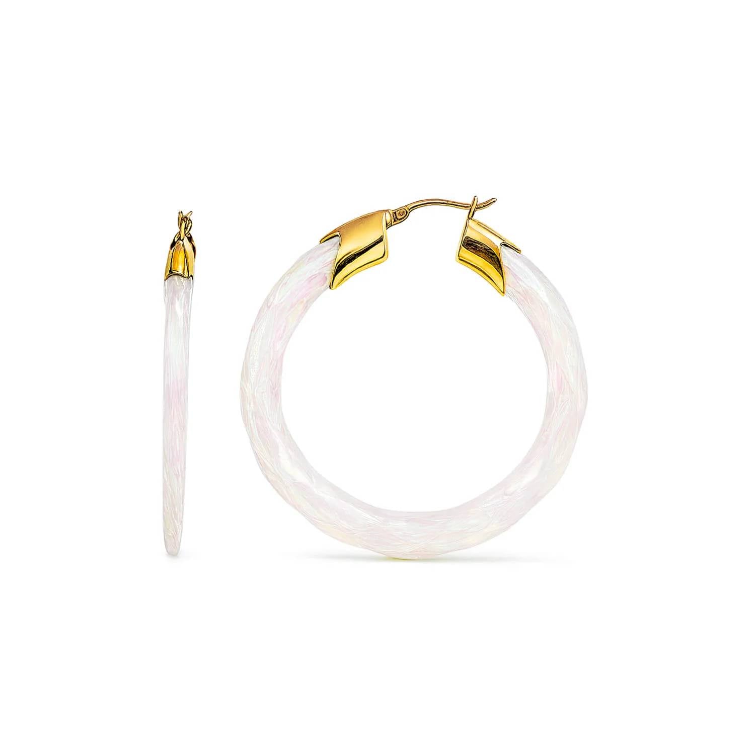 Gold & Honey - Women's Swirl Twist Lucite Birthstone Hoop Earrings