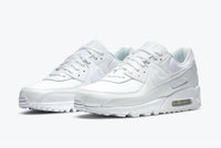 Nike - Men's Air Max 90 LTR Shoes