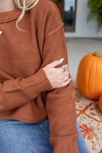 Double Zero Perfect Pumpkin Patch Long Sleeve Sweater in brown - women's sweater - alternate view