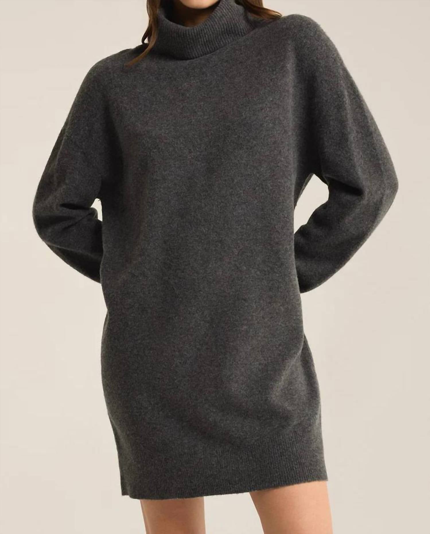 Z Supply - Richie Turtleneck Mini Dress