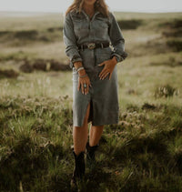 Dear John Denim - Lulu Denim Shirtdress