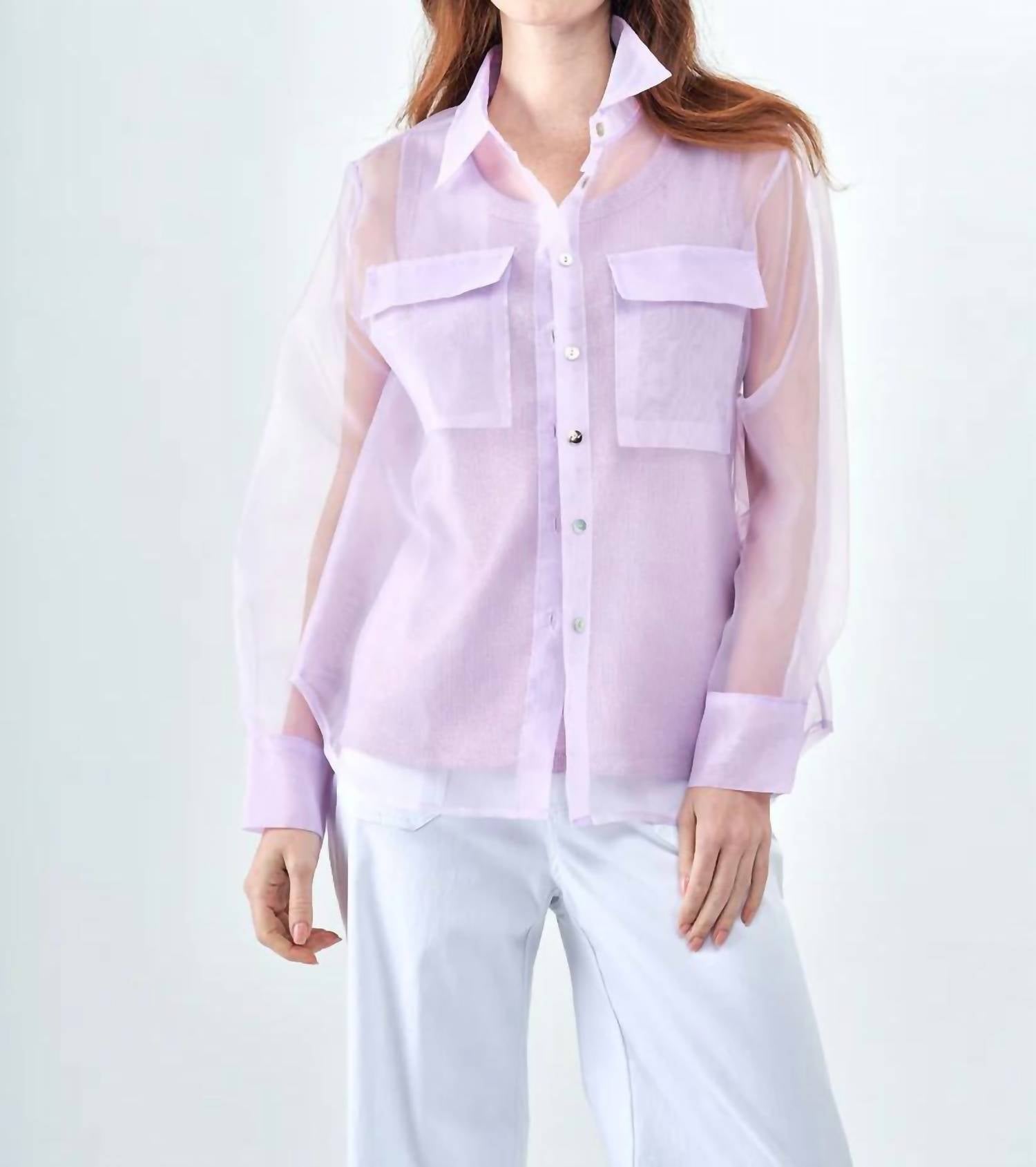 Insight - Sheer Organza Solid Blouse