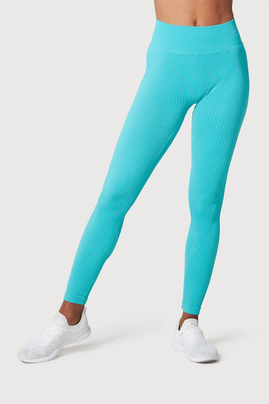 Riley 7 - Seamless Rib Leggings