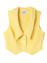 Matthew Bruch - Collard V-neck Vest