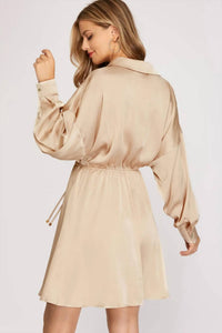 SHE + SKY Long Sleeve Collared Flare Dress in taupe - women's dress - alternate view
