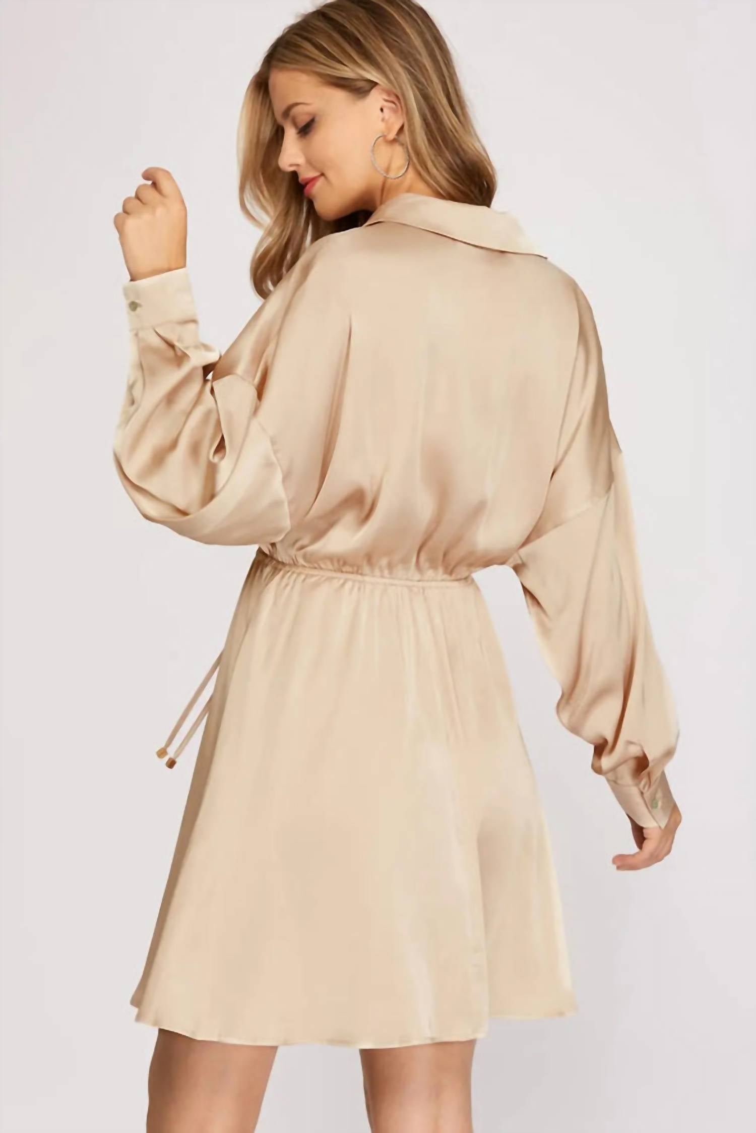 SHE + SKY Long Sleeve Collared Flare Dress in taupe - women's dress - alternate view