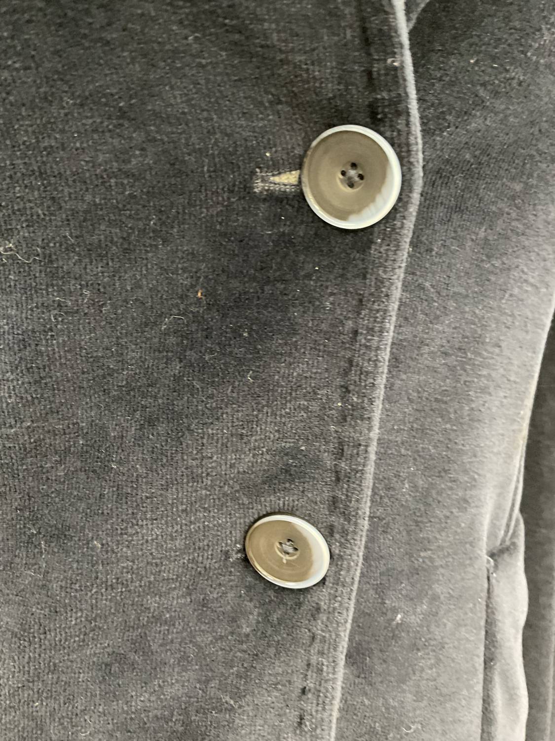 Circolo 1901 - VELOUR STRETCH JACKET