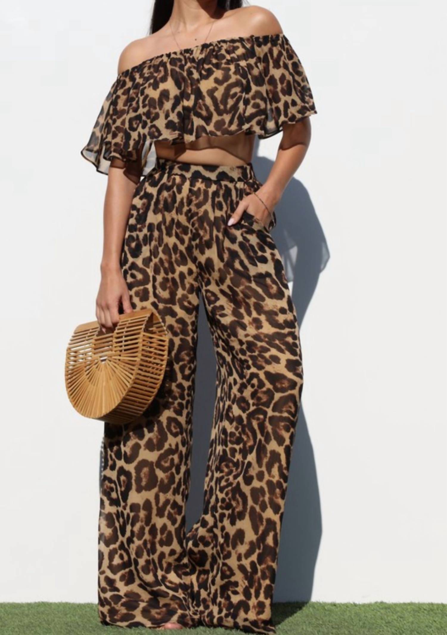 Dress Day - Savannah Chic Leopard Set