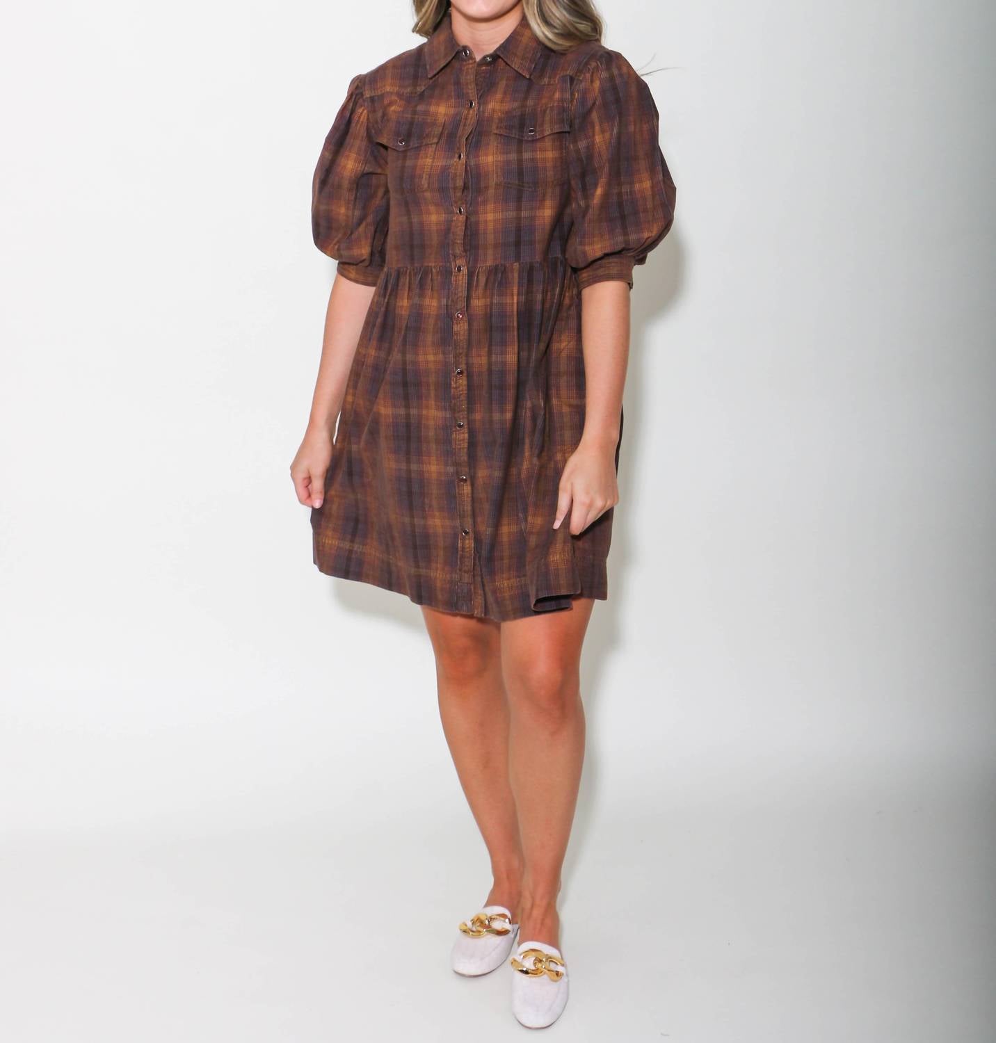 Ivy Jane - Ombre Plaid Snap Dress