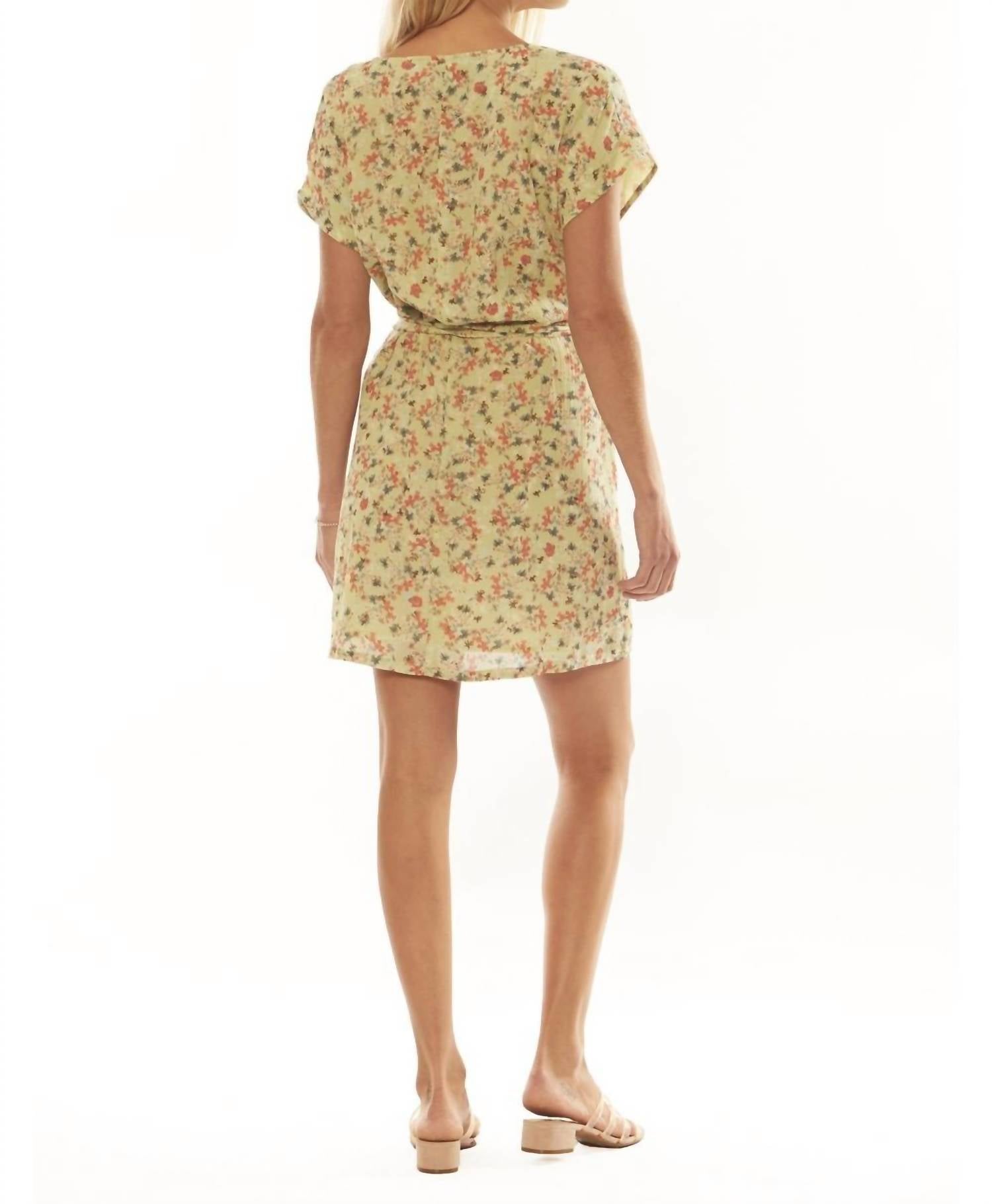 Amuse Society - Butterflies Dress