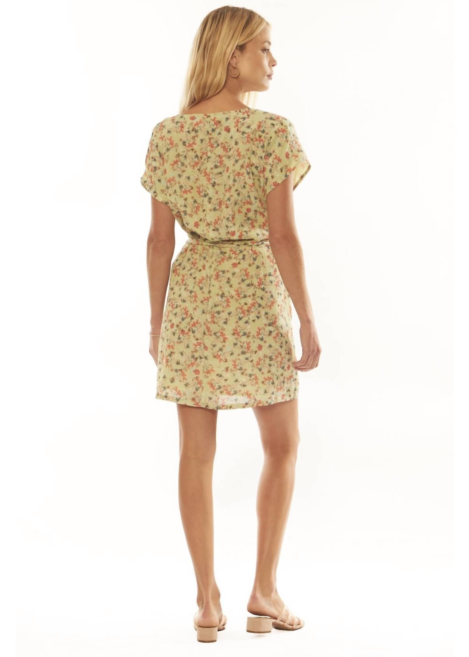 Amuse Society - Butterflies Dress
