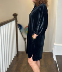 Caryn Lawn - Betsy Collar Velvet Dress