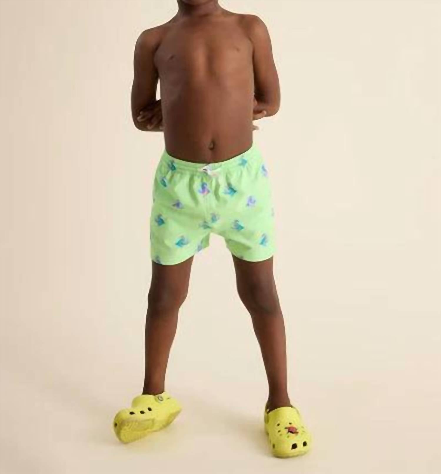 Chubbies - Seahorsin' Arounds Swim Trunks