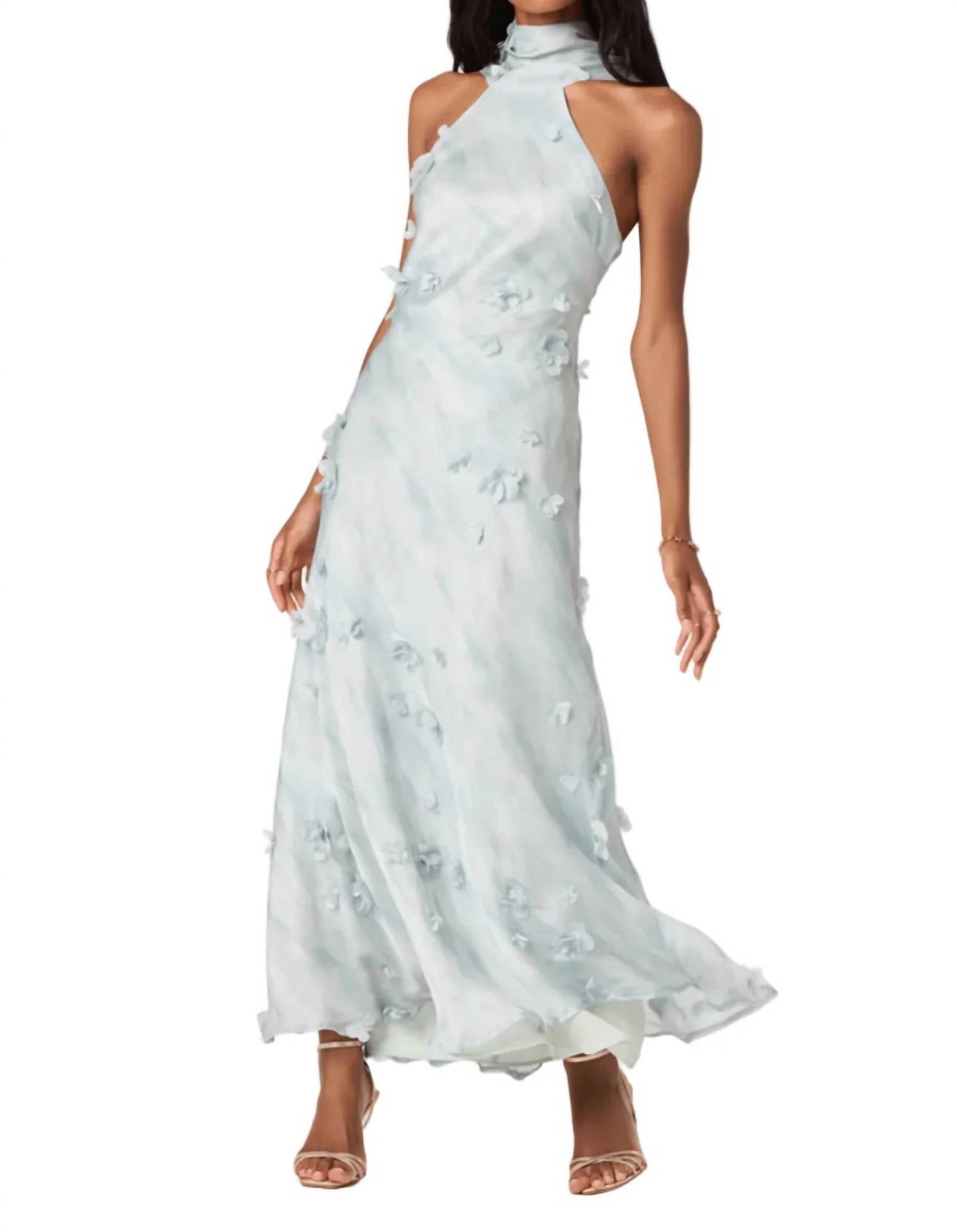 Astr - Ashley Halter Neck Maxi Dress