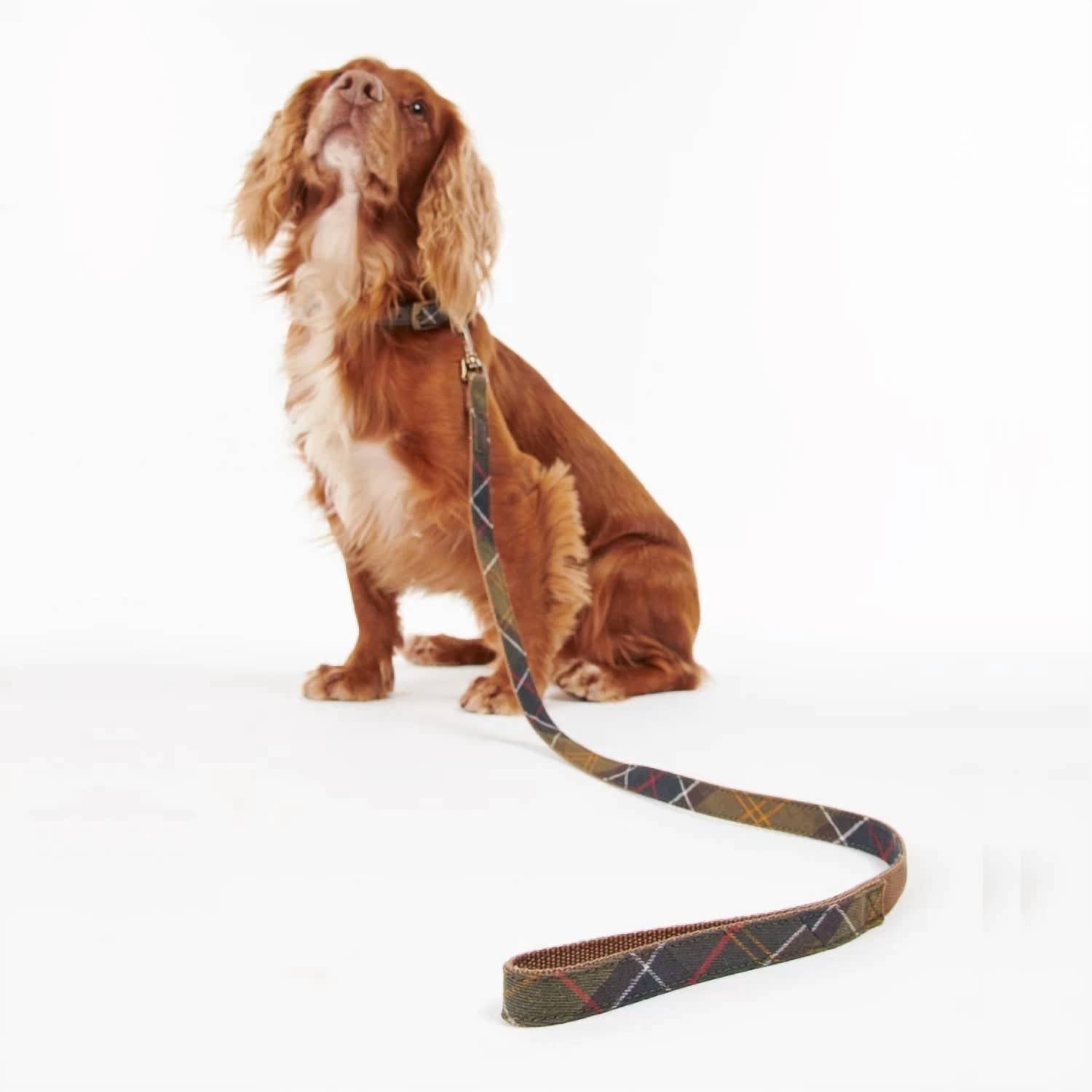 Barbour - Tartan Webbing Dog Lead