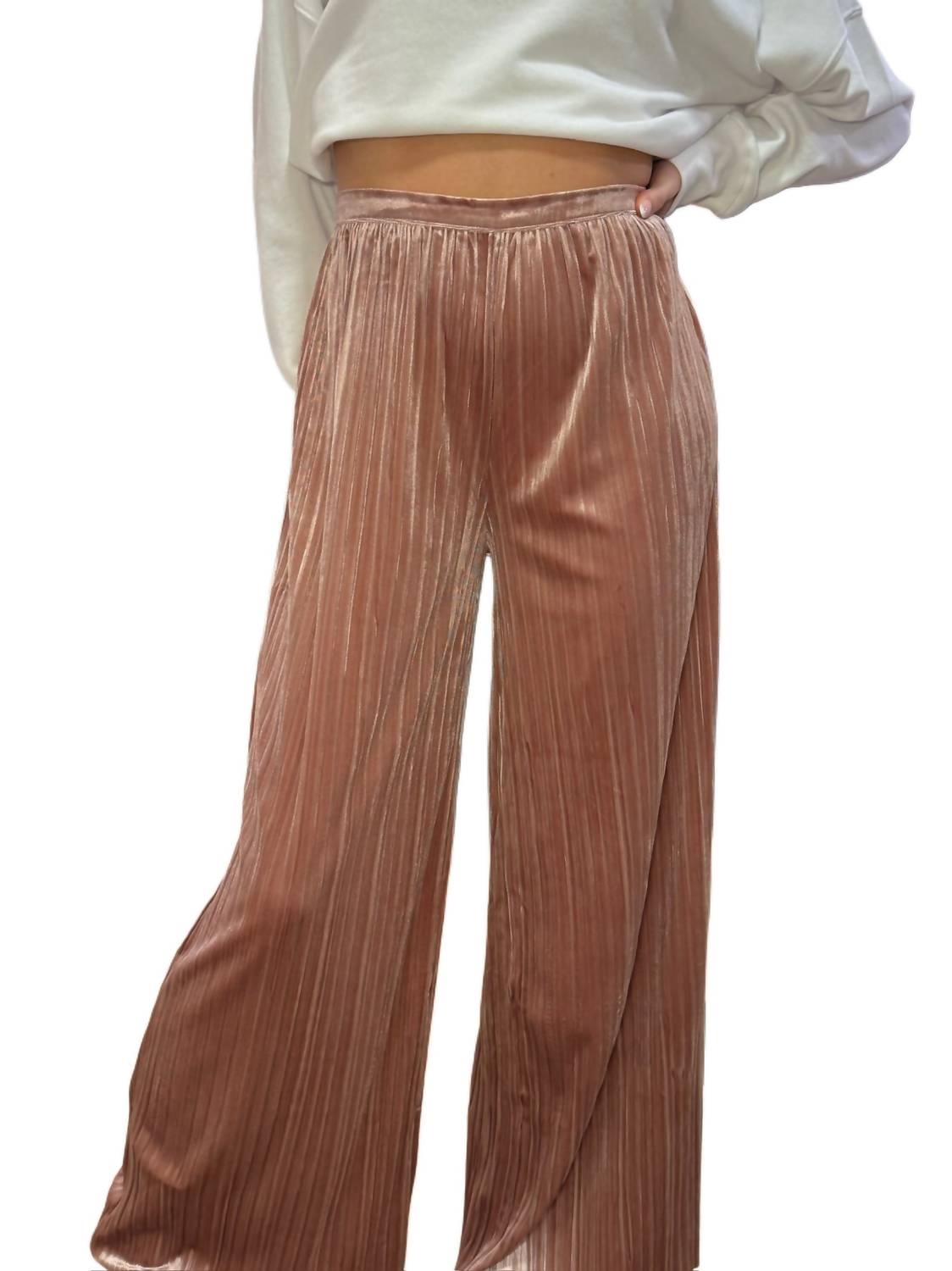 Wishlist - Velvet Pleated Wide Leg Pants