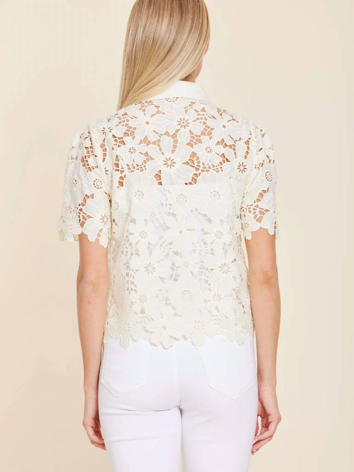 Dolce Cabo - Lace Collared Shirt