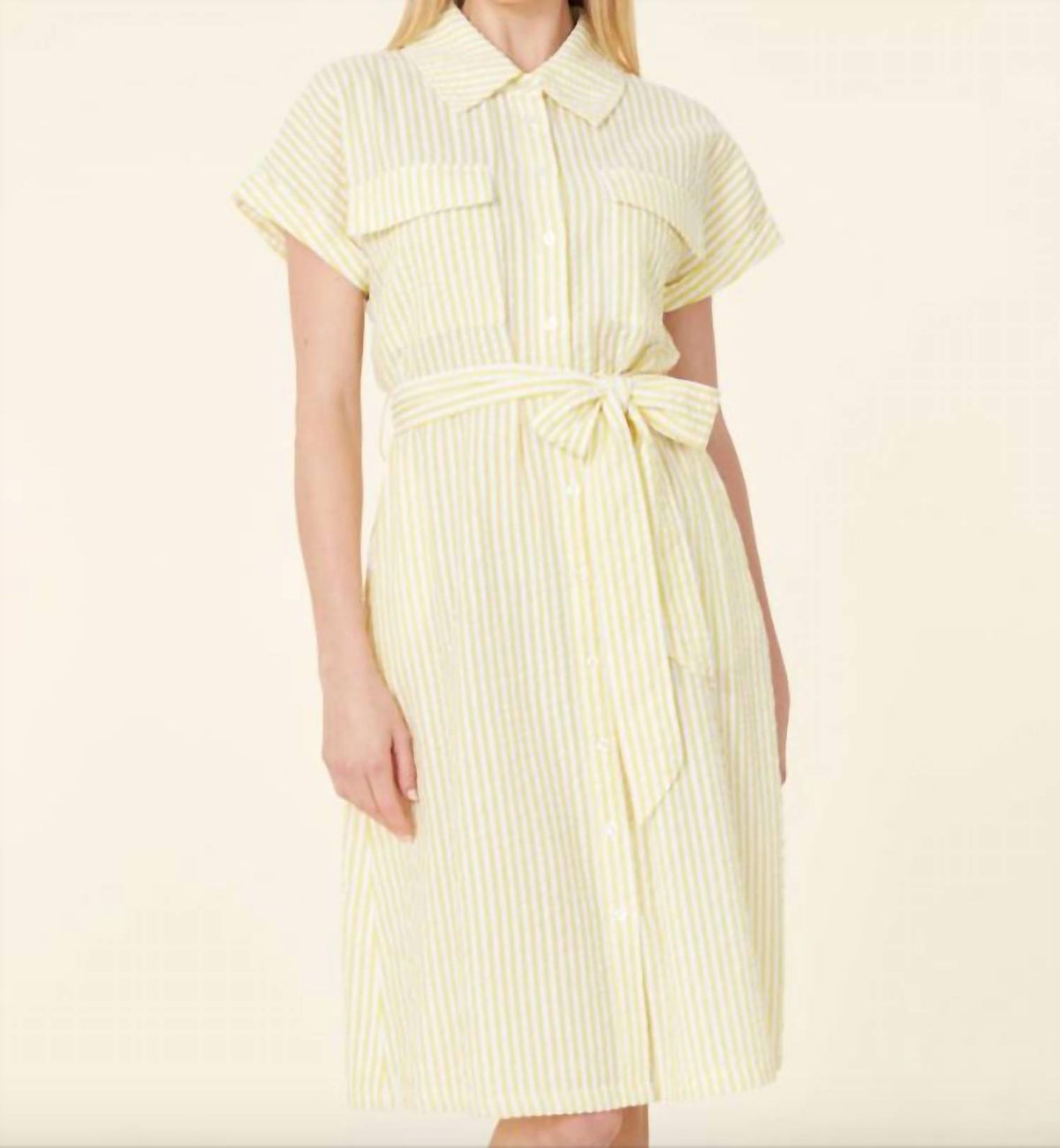 Dolce Cabo - Seersucker Dress