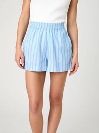 French Connection - Lorenzo Stripe Shorts