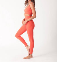 Electric & Rose Dream Solid Bra in tango - women's intimate - alternate view