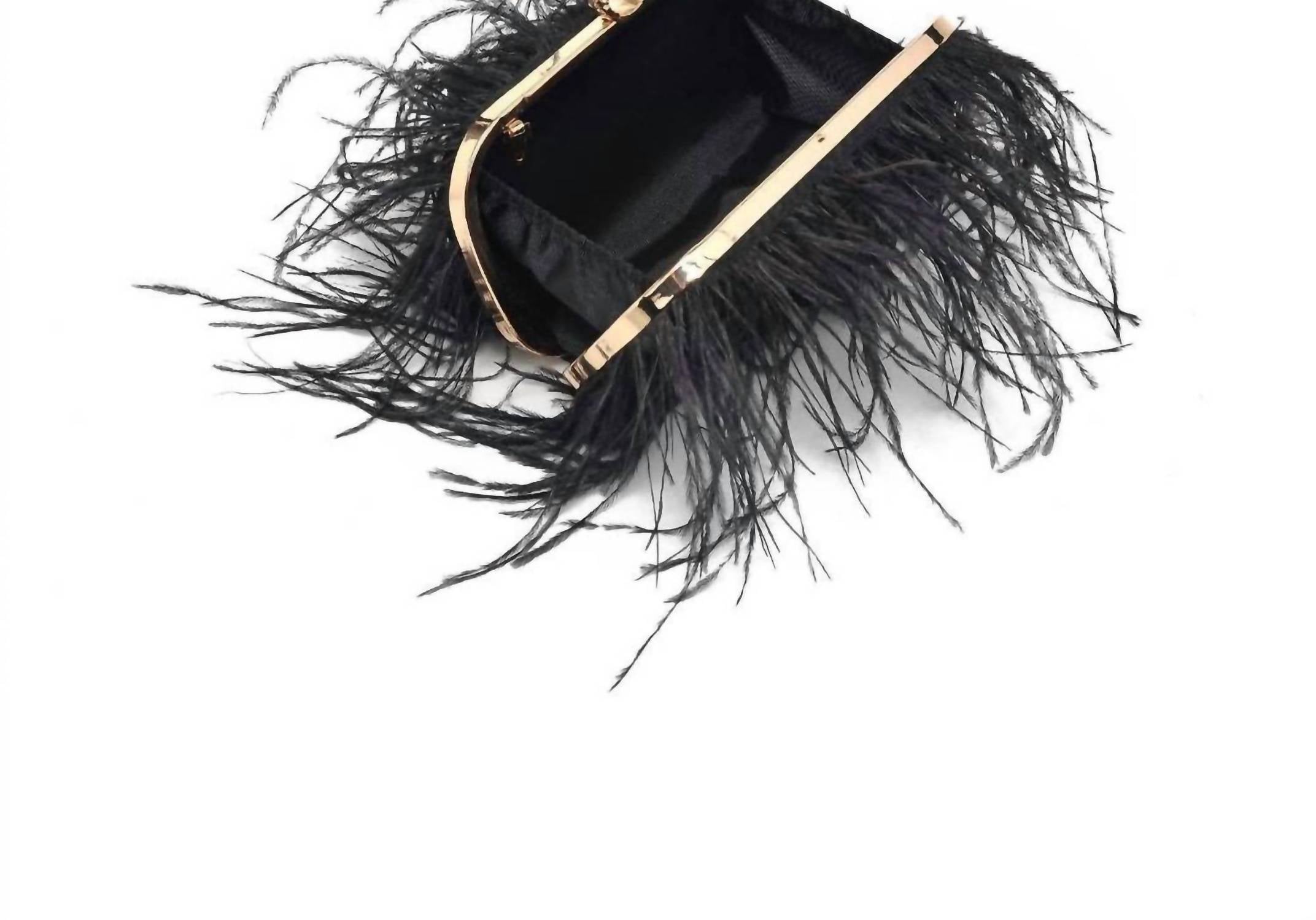Moda Luxe - Women's Harlow Feather Evening Bag