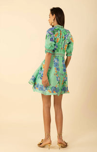 Hale Bob - Women's Alaiya Organza Dress
