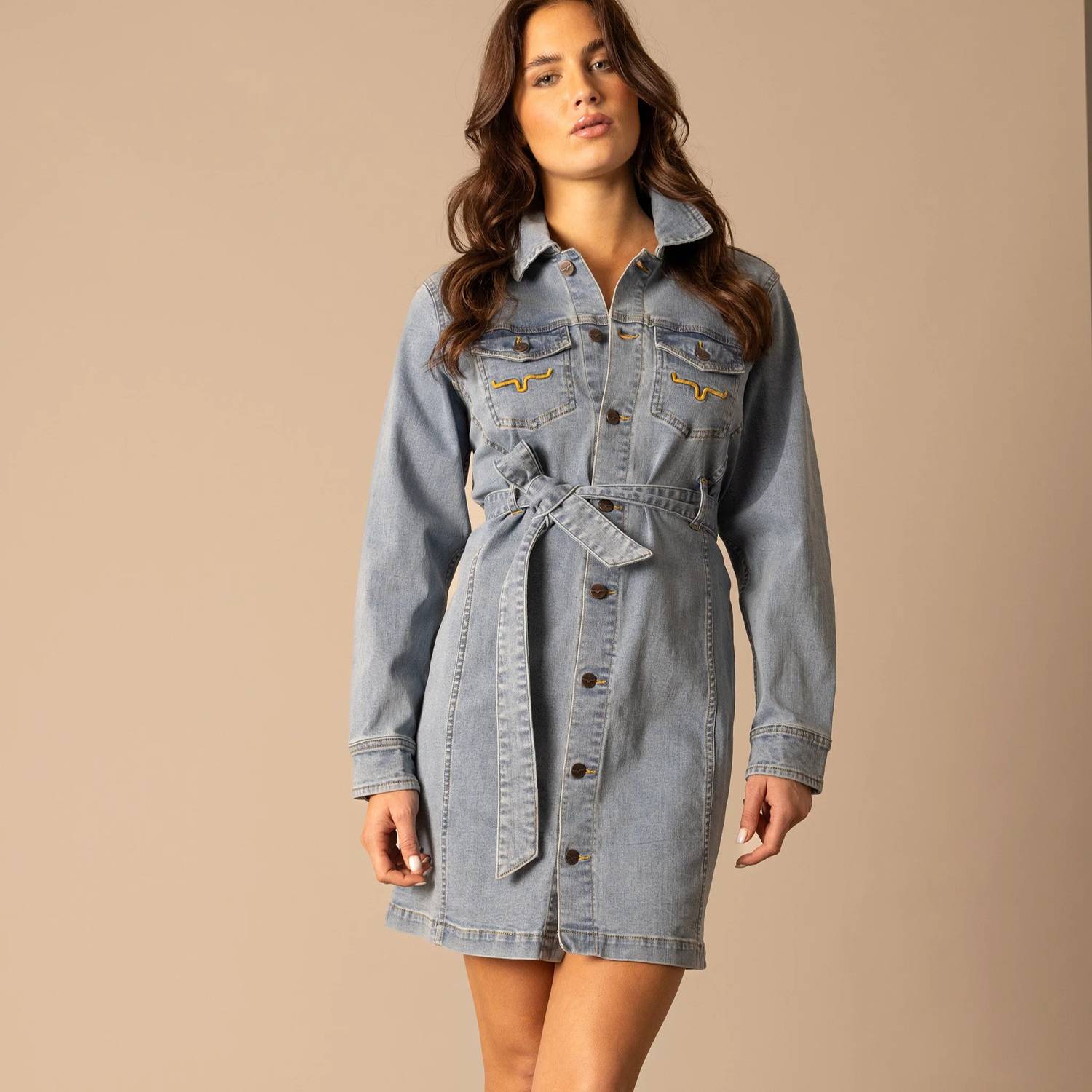 Kimes Ranch - Winslow Trucker Dress