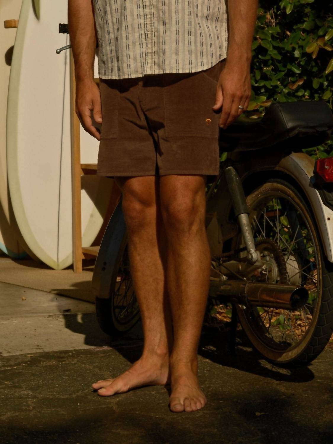 Mollusk - Magic Mushroom Shorts