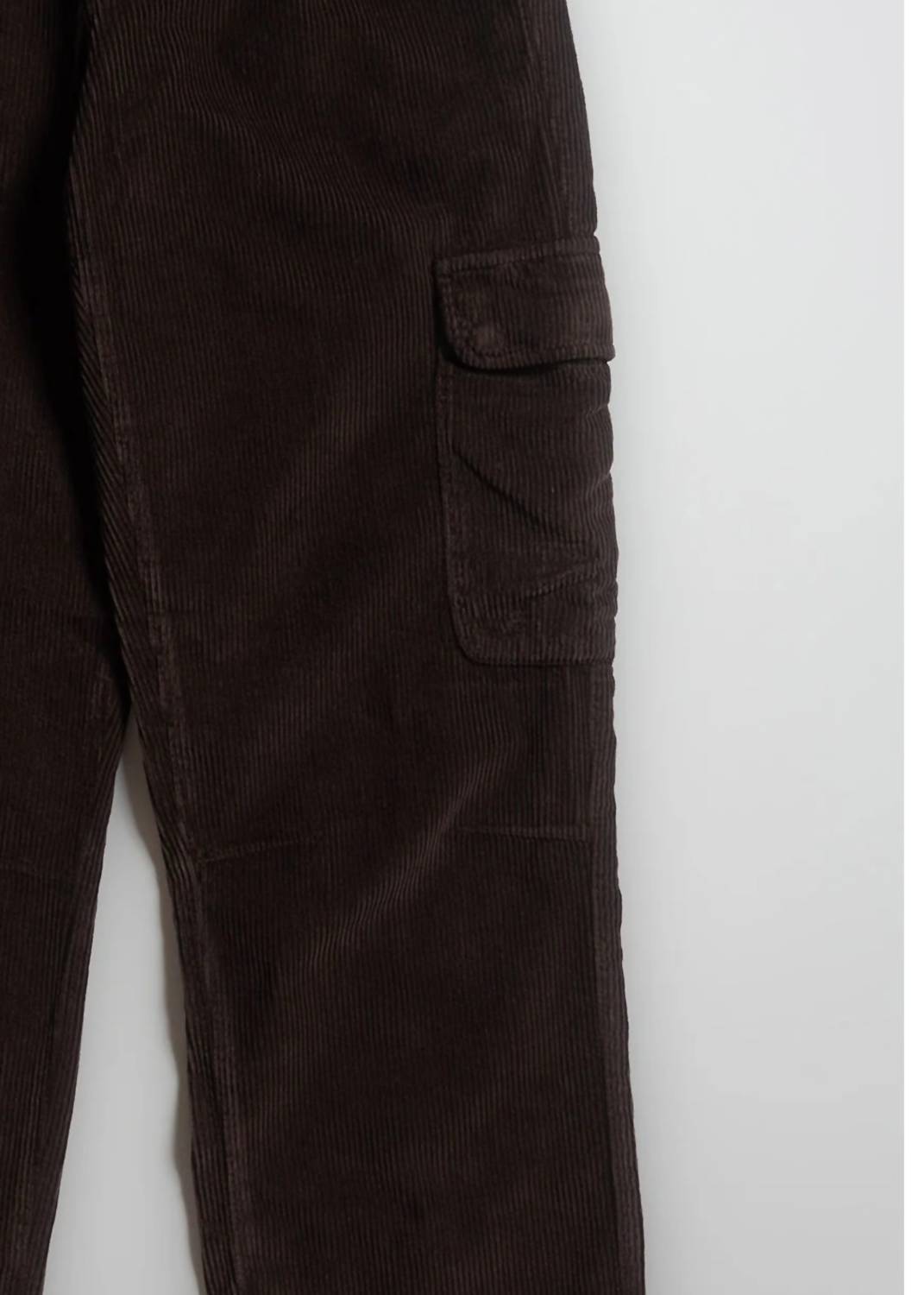 Iron & Resin Men's Wilson Corduroy Pants in brown - men's pants - alternate view