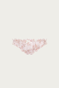 GARDENIA BRIEF