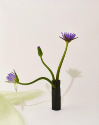 Virginia Sin - Cenote Vase