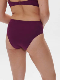 Simone Perele - Hoya Retro Brief