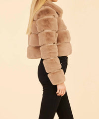 Dolce Cabo - Paneled Faux Fur Vegan Leather Cropped Jacket