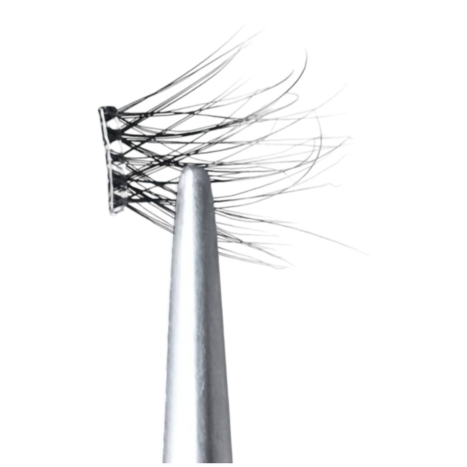 Silly George - Women's Pop-on Lashes