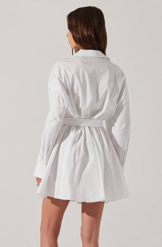 Astr - Winica Poplin Mini Dress