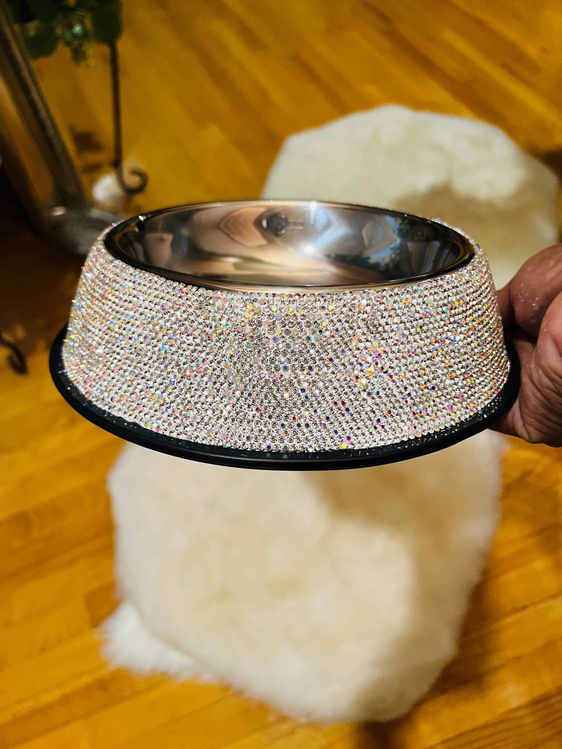 All That Glitterz Pet Bowl in silver - item - detail view