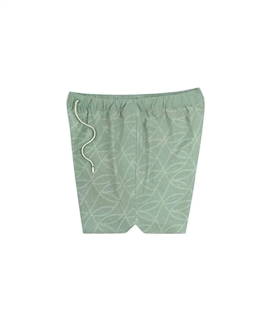 Jetty - Men's Bayside Pool Short