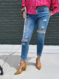 Vervet By Flying Monkey - AMJ Skinny Jeans