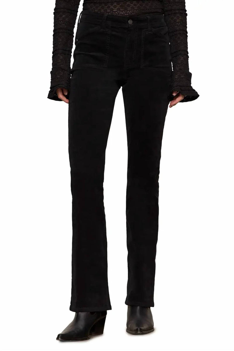 Sanctuary Velveteen Hayden Bootcut Pants in black - women's pants
